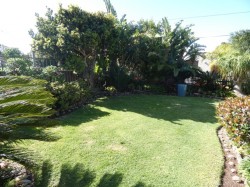 Img001266_7
