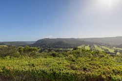 Img000845_11